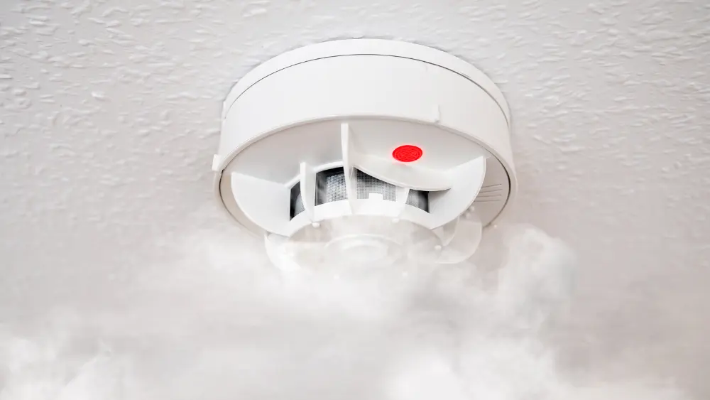 Fire Alarm Systems